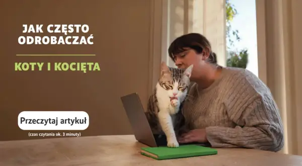 Co ile odrobaczanie kota? Kluczowe informacje dla zdrowia pupila