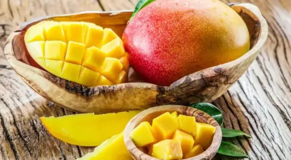 Czy pies może jeść mango? Bezpieczne przygotowanie i korzyści zdrowotne
