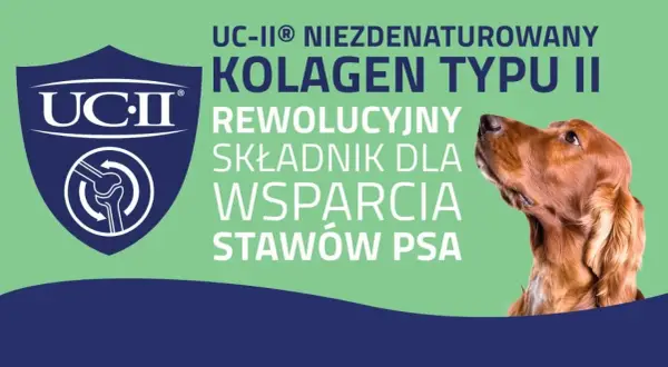 Co na stawy dla psa: skuteczne suplementy, które poprawią zdrowie stawów