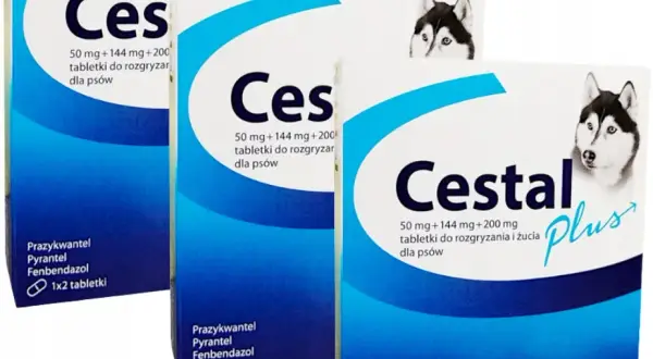 Ile kosztują tabletki na odrobaczanie psa? Sprawdź ceny i opcje