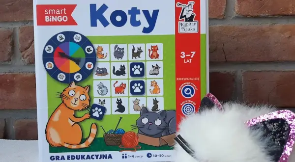 Jak grać w kotki - proste zasady i strategie, aby wygrać